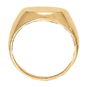 Premium Mens Fashion Signet Ring