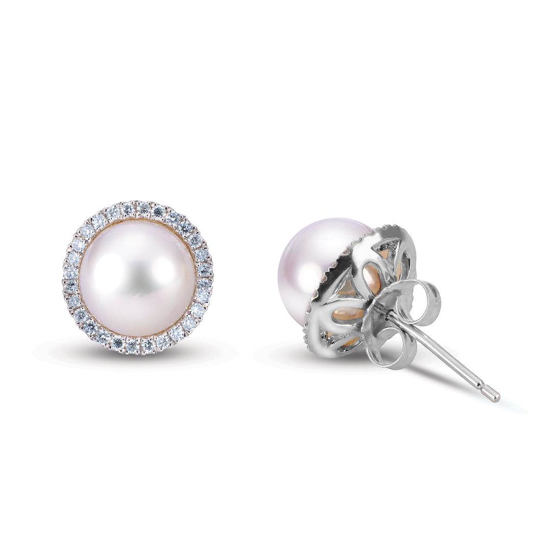 14KT White Gold Akoya Pearl Earring